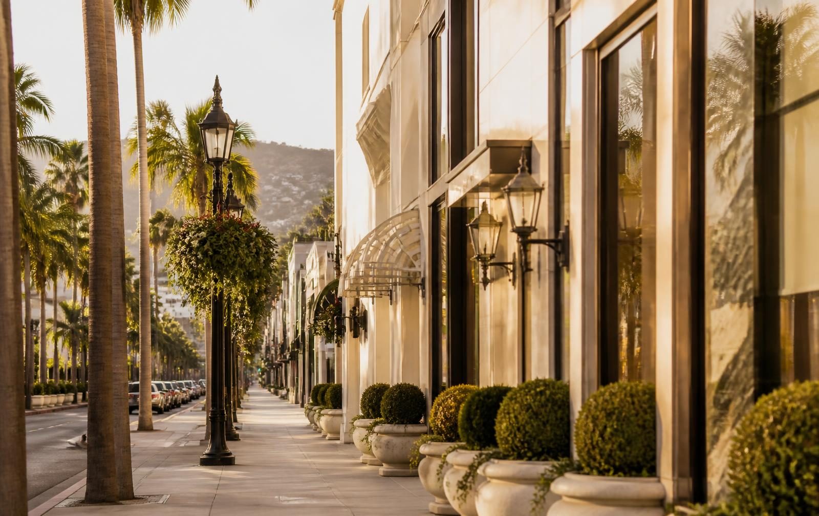 Hollywood & Beverly Hills